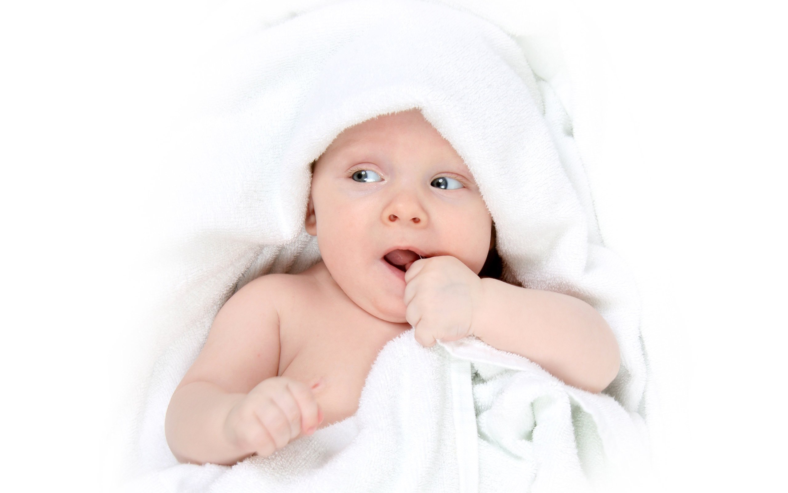 代怀生子助孕机构试管婴儿成功率高不高